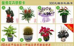 馨源花卉公司 专业北京礼品花卉与礼品卡一站式供应