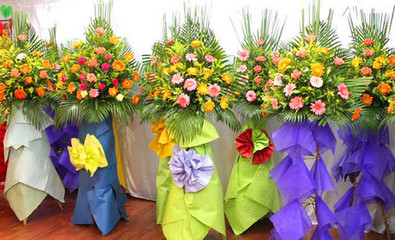 郑州亲亲花卉礼品店 品质单层花篮团购指南